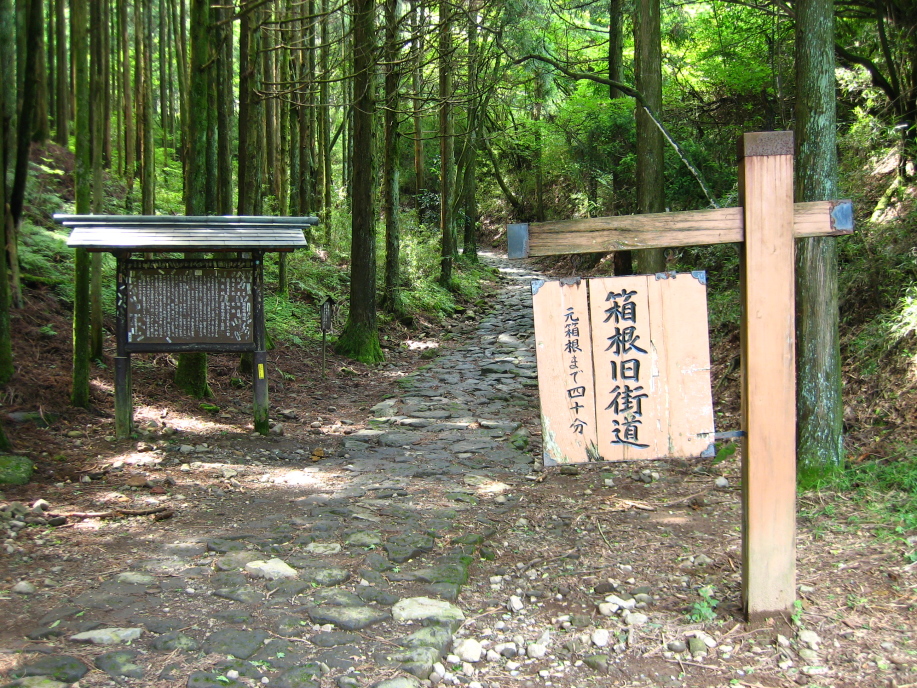 Hakone Old Tokaido Stone Pavement