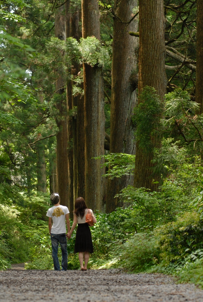 Hakone Old Road