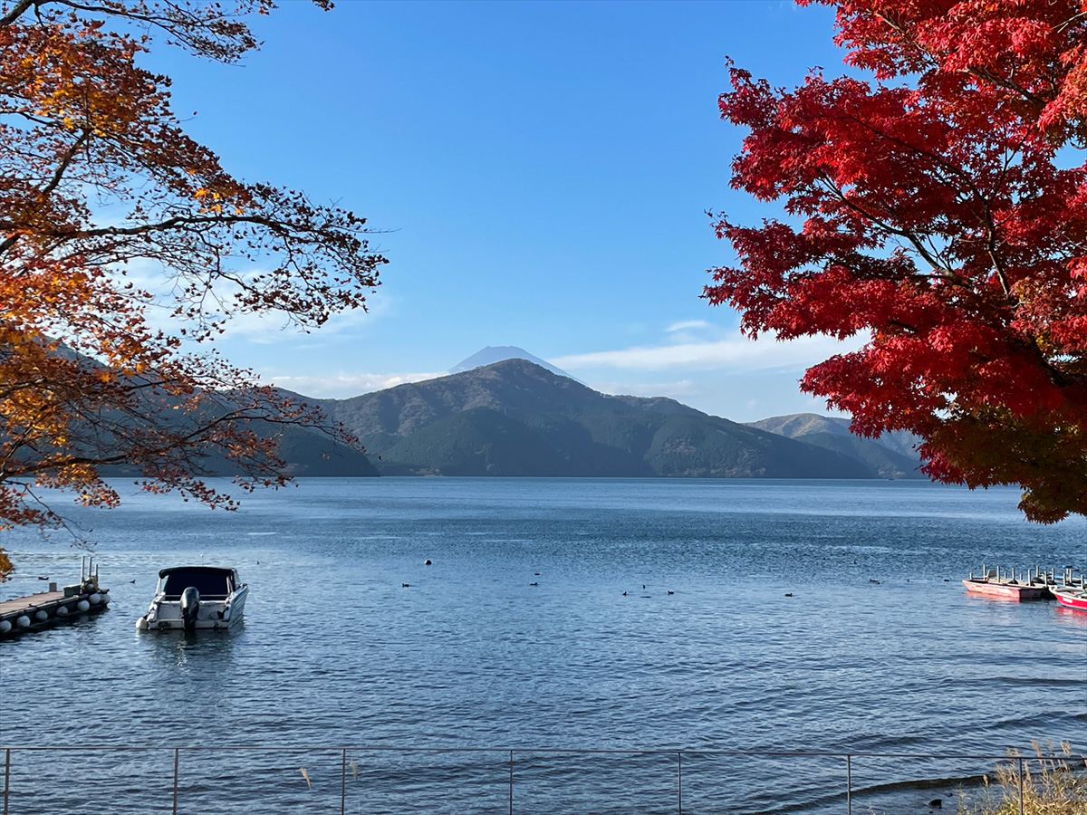 View from The Garden (Autumn)