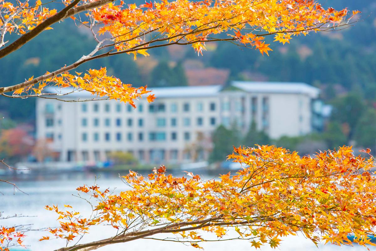 Hotel Exterior (Autumn)